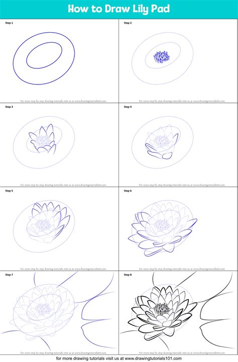 How To Draw A Lily Pad Flower Step By Step at Drawing Tutorials