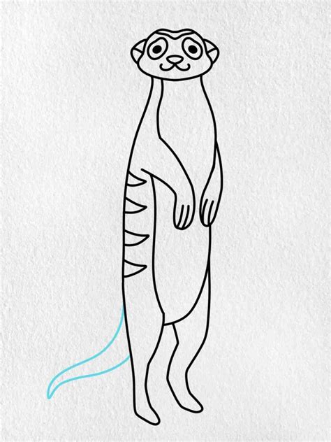 How To Draw A Meerkat Easy Draw a line which will act as the center of