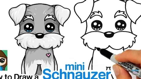 How To Draw A Miniature Schnauzer Step By Step