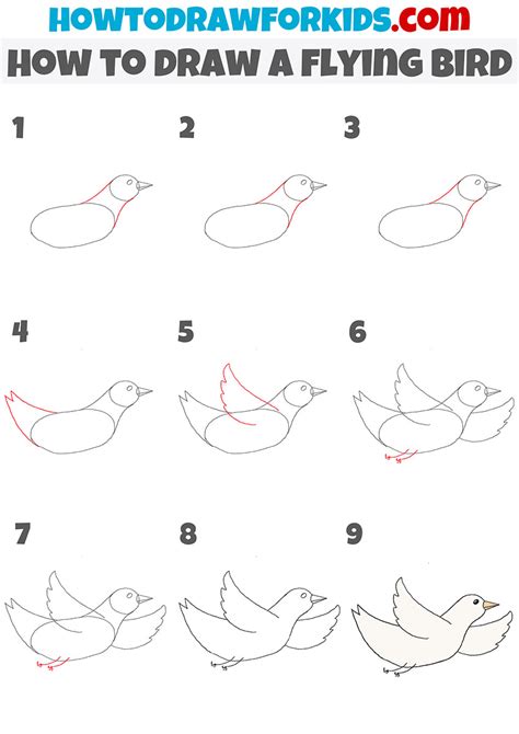 How To Draw A Pheasant Flying Step By Step First draw a vertical line