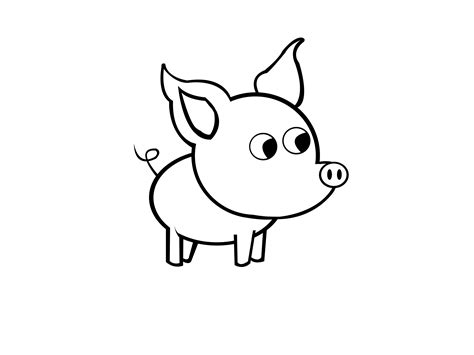 How To Draw A Pig - easy-drawings-and-sketches.com