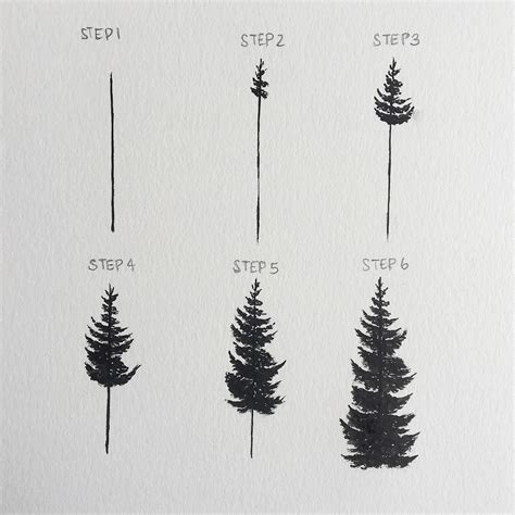 How To Draw A Pine Tree Forest Step By Step at Drawing Tutorials