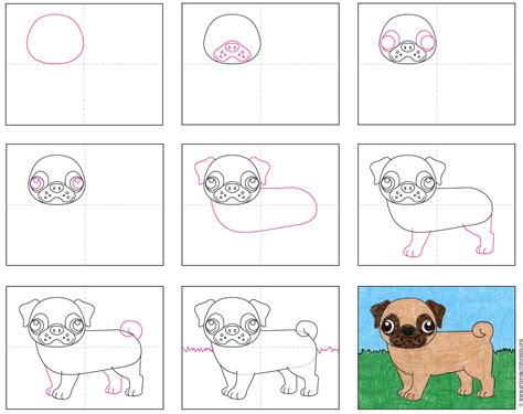 How To Draw A Pug In (10) Easy Steps For Kids