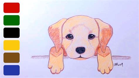 How To Draw A Puppy Labrador
