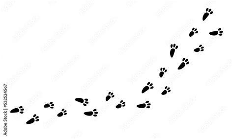 How To Draw A Rabbit Footprint at How To Draw