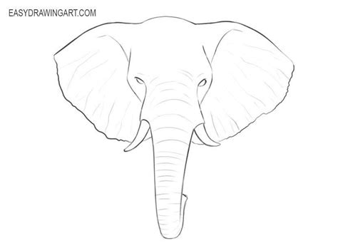 How To Draw A Realistic Elephant Face Step By Step Askworksheet