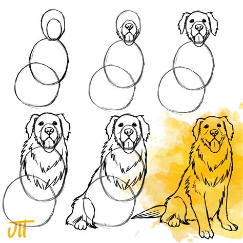 How To Draw A Realistic Golden Retriever Step By Step at Drawing Tutorials