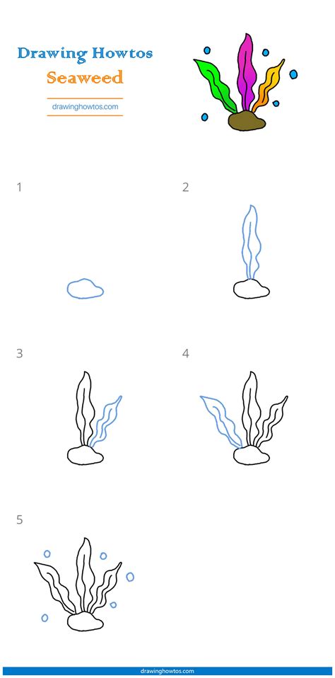 How To Draw A Seaweed Step By Step Easy Drawing Guides Drawing Howtos