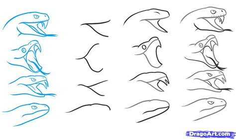How To Draw A Snake Head Side View Snake Drawing