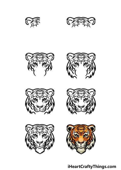 How To Draw A Tiger Face Head Step By Step Easydrawin vrogue.co