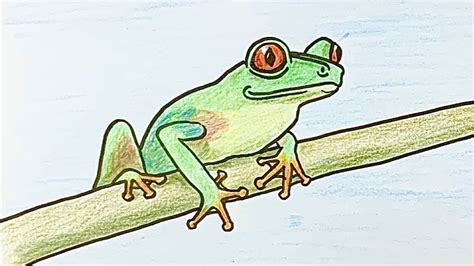 How To Draw A Tree Frog Step By Step YouTube
