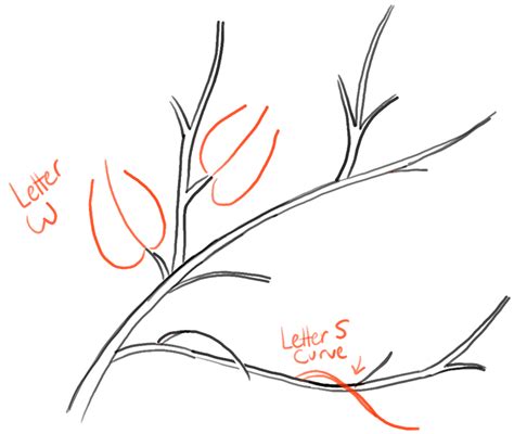 How To Draw A Tree With Branches at Drawing Tutorials
