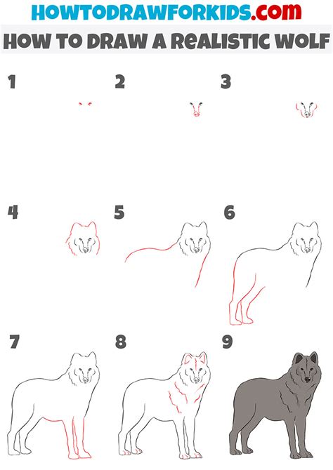 How To Draw A Wolf Body Step By Step at Drawing Tutorials