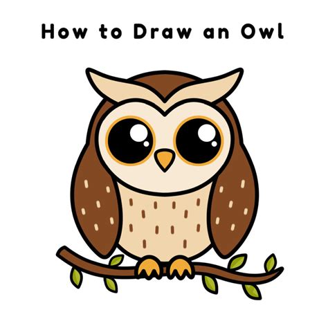 How To Draw An Owl