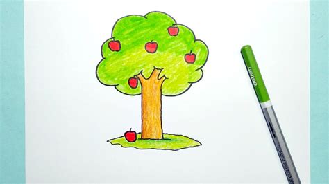 How To Draw Apple Tree Simple and Easy to follow YouTube