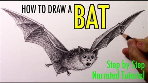 How To Draw Bat Step by Step YouTube