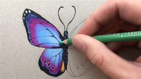 How To Draw Color Pencil Art Beginner Drawing Lessons Drawing Lessons