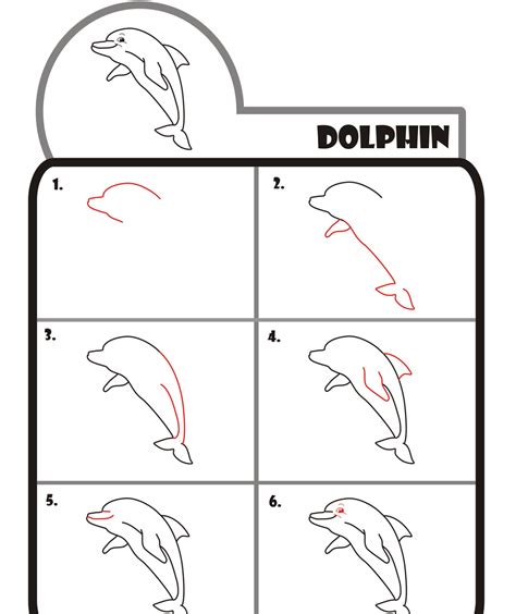 How To Draw Dolphin Easy Step By Step at Drawing Tutorials