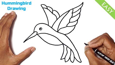 How To Draw Hummingbird Easy