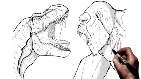 How To Draw Kong vs T Rex Step By Step Monsterverse. 