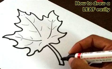 How To Draw Pumpkin Leaf