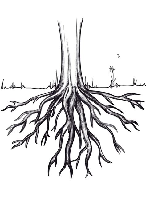 How To Draw Roots On A Tree