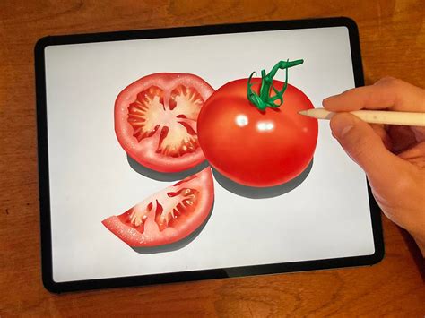How To Draw Tomatoes Step by Step Procreate Tutorial dobbernationLOVES
