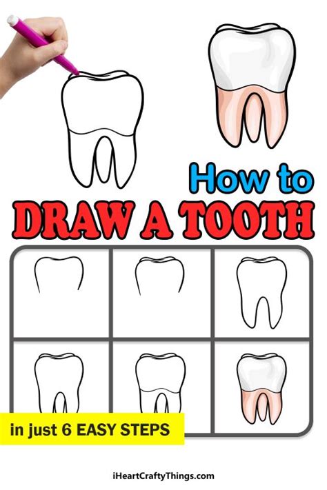 How To Draw Tooth Pictures Tooth Step by Step Drawing Lessons
