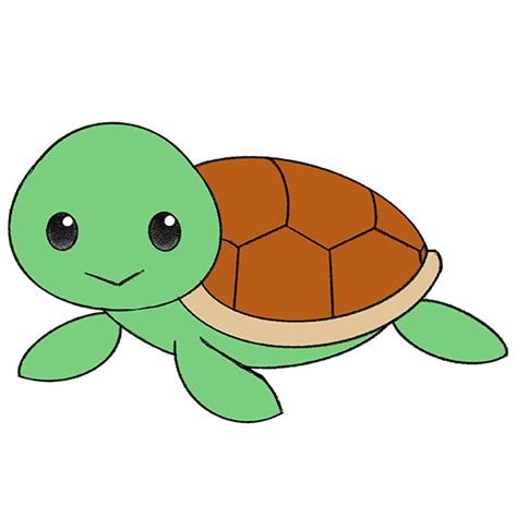 How To Draw Turtle Easy