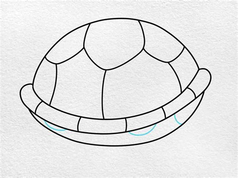 How To Draw Turtle Shell Pattern ClipArt Best