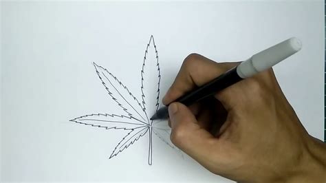 How To Draw Weed