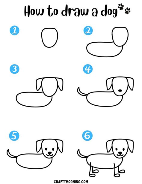 How To Draw a Dog in Few Simple and Easy to Follow Steps