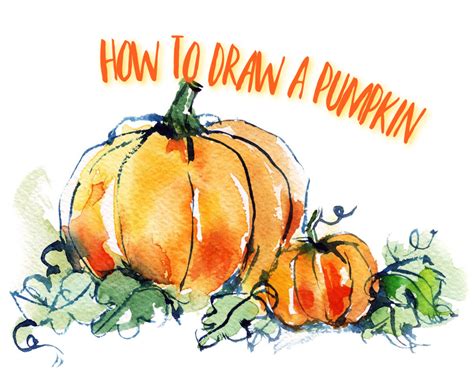 How To Draw a Pumpkin 10 Easy Drawing Projects