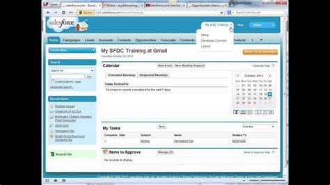 How To Enable Printable View In Salesforce