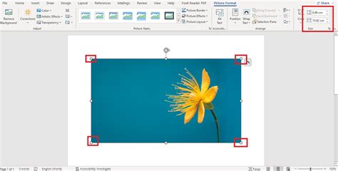 How To Enlarge A Picture Without Losing Quality In Microsoft Word