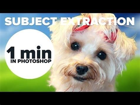 How To Extract in Photoshop in 1 Minute #MinutePhotoshop. 