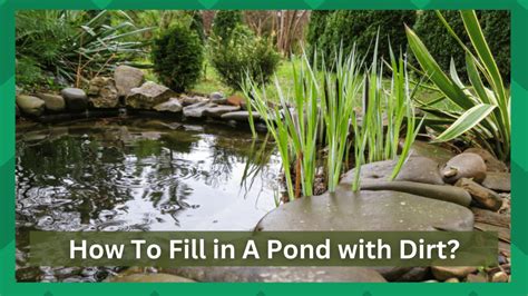 How To Fill In A Pond (Complete Guide) - Green Shack