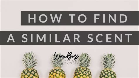 How To Find A Similar Scentsy Scent - YouTube