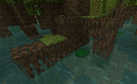 How To Find Mangrove Roots in Minecraft