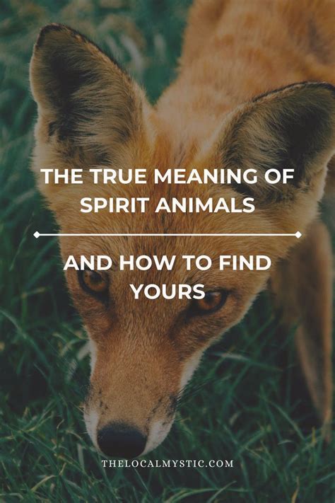 How To Find Out Your True Spirit Animal, Your Totem Animal