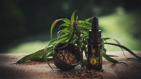 How To Find Reliable CBD Products In 2023