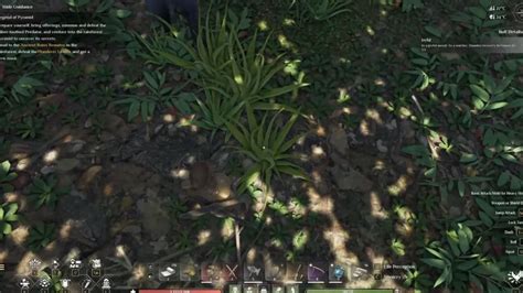 How To Get And Use Aloe In Soulmask Answered Gamer Tweak.