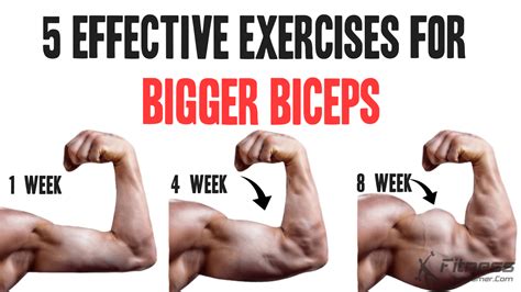 How To Get Bigger & Stronger At The Same Time (Powerbuilding Science