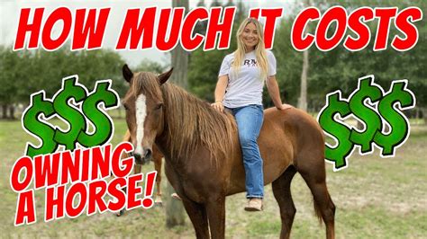 How To Get Money To Buy A Horse! - YouTube