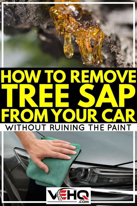 How To Get Pine Sap Off Of Car Paint Car Geek