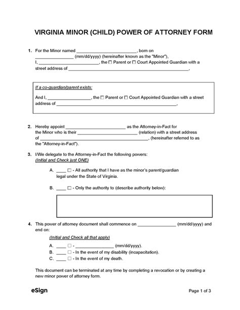 How To Get Power Of Attorney In Virginia For A Minor