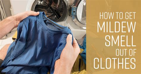 How To Get Rid Of Mold And Mildew On Clothes