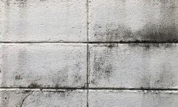 How To Get Rid Of Mold On Concrete Block Walls - Weekend Builds