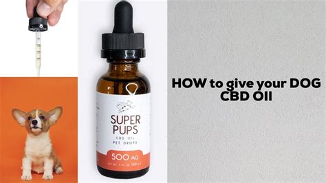 How To Give Dog Cbd Oil With Food