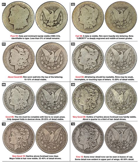 How To Grade Dollars A Visual Guide Cascade Coins